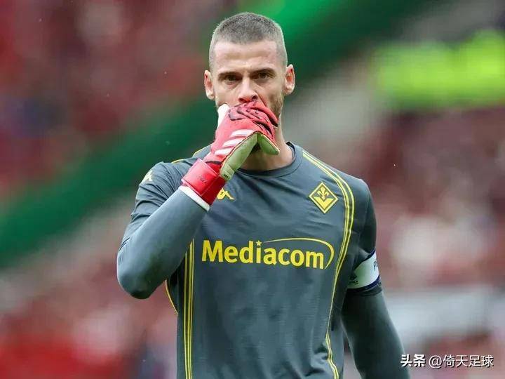 德甲云达不莱梅VS霍芬海姆意大利杯佛罗伦萨VS科莫比分预测